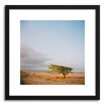 Fine art print Windy by artist Anna Rasmussen