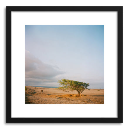 Fine art print Windy by artist Anna Rasmussen