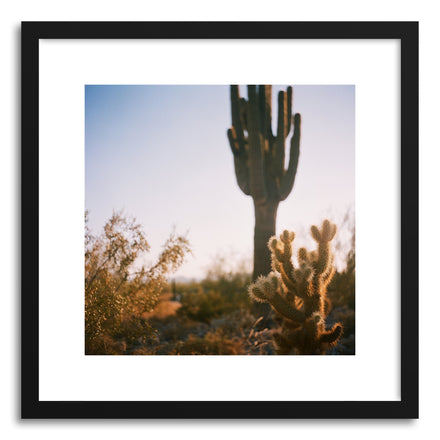 Fine art print Cactus by artist Anna Rasmussen