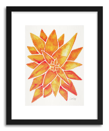 Art print Orange AloeVera by artist Cat Coquillette