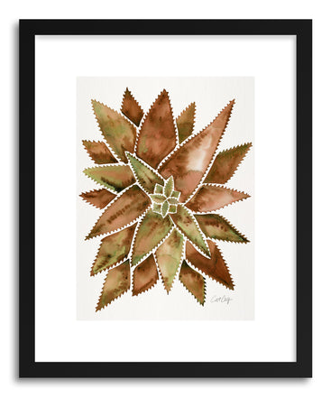 Art print Sepia Aloe Vera by artist Cat Coquillette