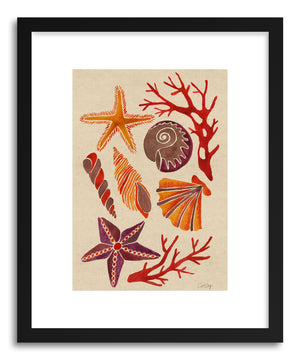 Fine art print Seashells by artist Cat Coquillette
