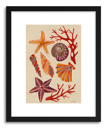 Fine art print Seashells by artist Cat Coquillette