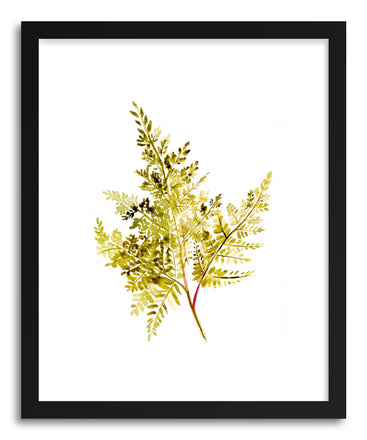 Fine art print Fern by artist Christine Lindstorm