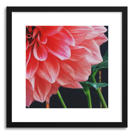 Fine art print Dahlia Corner by artist Sylvie Lee