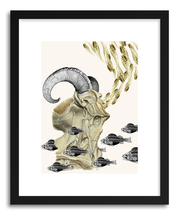 Fine art print Piscesariescusp by artist Travis Bedel