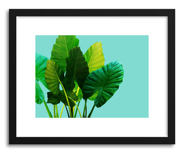 Fine art print Urban Jungle by artist Emanuela Carratoni