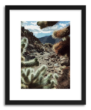 Fine art print Cholla Frame by artist Kevin Russ