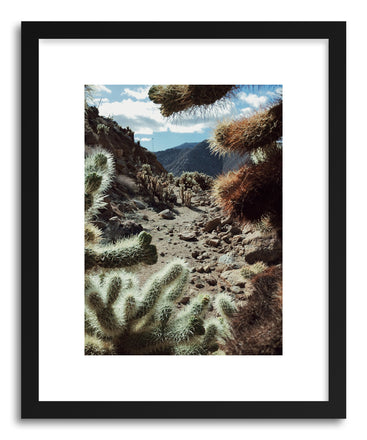 Fine art print Cholla Frame by artist Kevin Russ