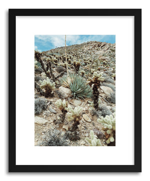 Fine art print Hill Of Cholla by artist Kevin Russ