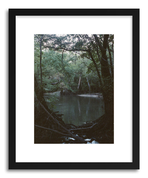 Fine art print Swampland by artist Kevin Russ