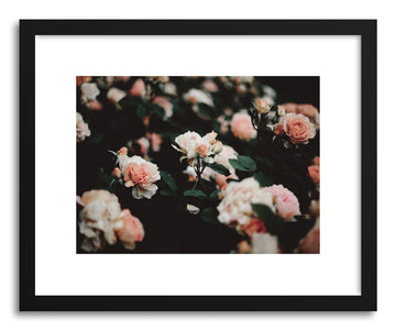 Fine art print Roses No.4 by artist Kristine Weilert