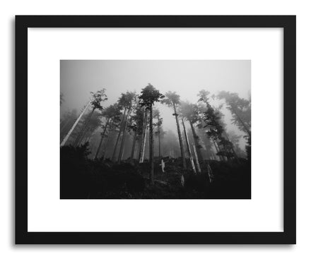 Fine art print Foggy Forest No.3 by artist Kristine Weilert