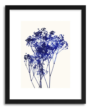 Fine art print Babys-Breath No.1 by artist Garima Dhawan