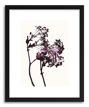 Fine art print Maple No.1 by artist Garima Dhawan