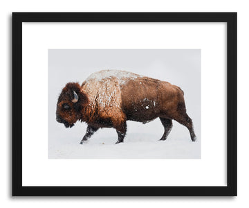 Fine art print Print 200 by artist Lola Peacock