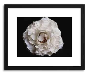 Fine art print White Silk by artist Karen Kardatzke