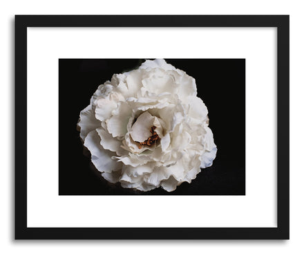 Fine art print White Silk by artist Karen Kardatzke