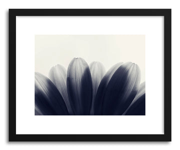 Fine art print Petal Xray by artist Karen Kardatzke