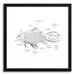 Fine art print Fish Anatomy by artist Peggy Dean