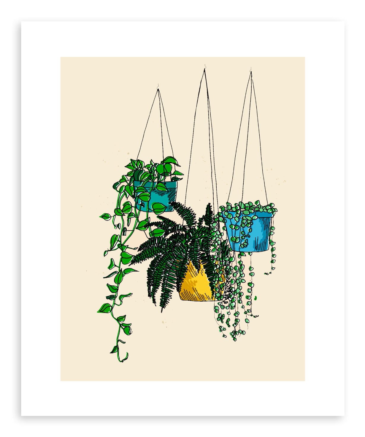 aesthetic hanging plants drawing Fine art print Hanging Plants by artist Peggy Dean – Art Crate