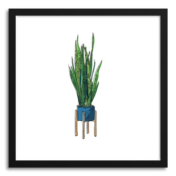 Fine art print Snake Plant by artist Peggy Dean