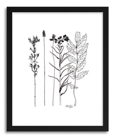Fine art print Botanicals Timothy Lake by artist Peggy Dean