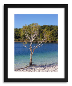 Fine art print Makenzie Tree by artist Wes Lewis