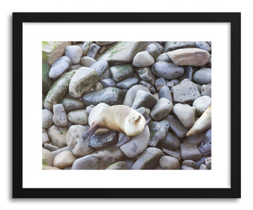 Fine art print Seal Rocks by artist Wes Lewis