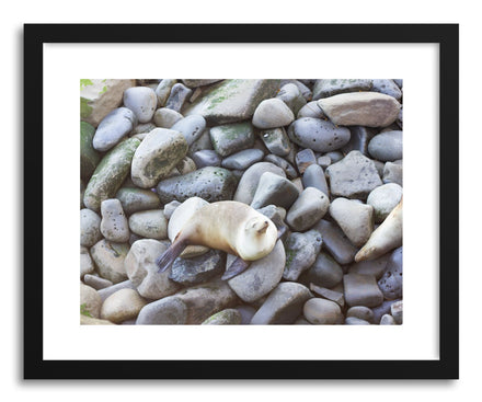 Fine art print Seal Rocks by artist Wes Lewis