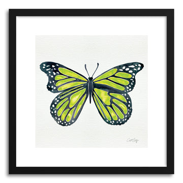Art print Lime Butterfly by artist Cat Coquillette