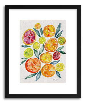 Fine art print Citrus Slices by artist Cat Coquillette