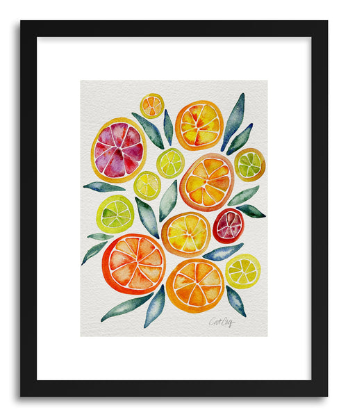 Fine art print Citrus Slices by artist Cat Coquillette
