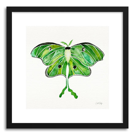 Art print Luna Moth by artist Cat Coquillette