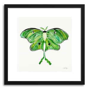 hide - Art print Luna Moth by artist Cat Coquillette in natural wood frame