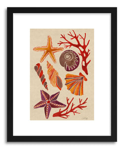 hide - Art print Seashells by artist Cat Coquillette in natural wood frame