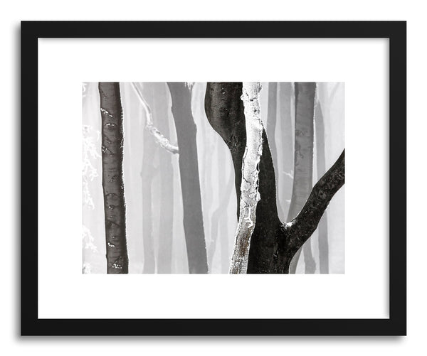Fine art print Forest by artist Evgeni Dinev