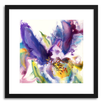 Fine art print Purple Iris by artist Yevgenia Watts