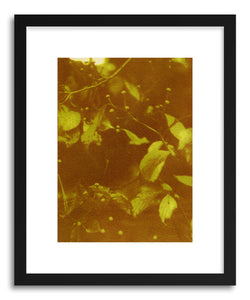 Fine art print Fall's Arrival by artist Erica Popp