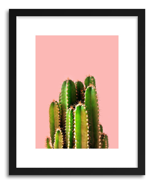 Fine art print Its Cactus Time by artist Emanuela Carratoni