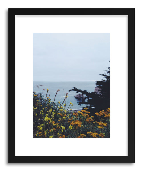 Fine art print California Coastal Flowers by artist Kevin Russ