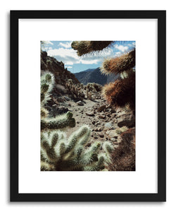hide - Art print Cholla Frame by artist Kevin Russ in natural wood frame