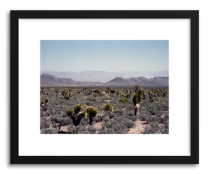 Fine art print Desert Mountain Horses by artist Kevin Russ