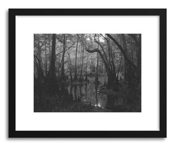 Fine art print Florida Dark Swamp by artist Kevin Russ