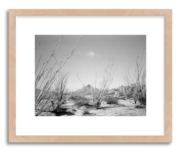 Hide - Fine art print Ocotillo Cacti by artist Kevin Russ in natural wood frame