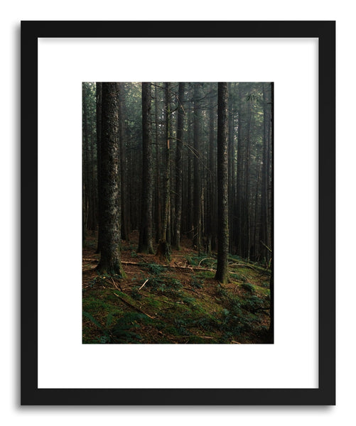 Fine art print Oregon Forest by artist Kevin Russ