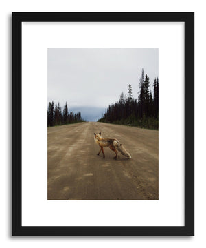 Fine art print Road Fox by artist Kevin Russ