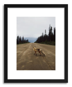 hide - Art print Road Fox by artist Kevin Russ in white frame