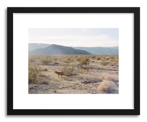 hide - Art print Valley Coyotes by artist Kevin Russ in white frame