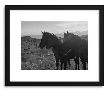 Fine art print Wild Desert Horses by artist Kevin Russ
